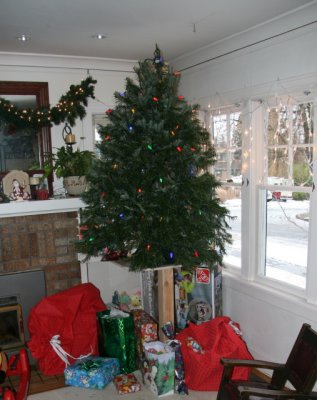 Christmas morning - yup, a white Christmas!