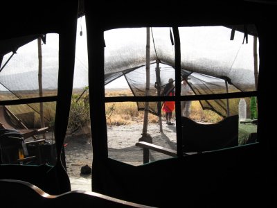 View from inside tent.jpg