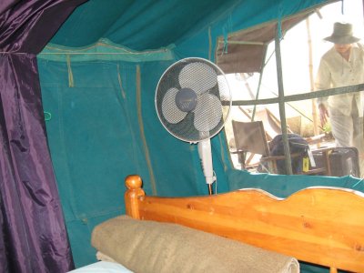 electricity in our tent!.jpg