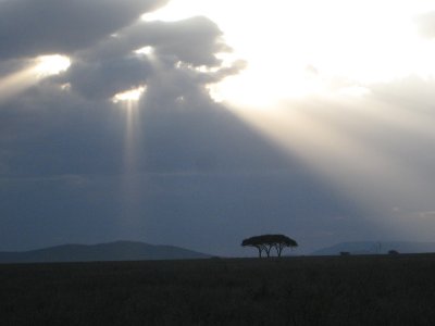 Sky scene in Serengeti.jpg