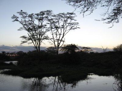 Dusk reflections.jpg