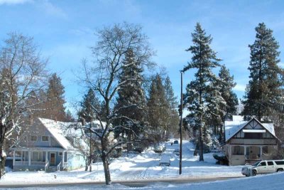 Fresh Snow