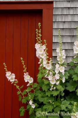 20100725_0983 Green Gable-PEI.jpg