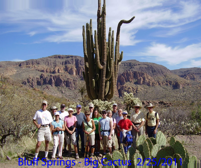 Bluff Springs - Big Cactus 2-25-2011.jpg