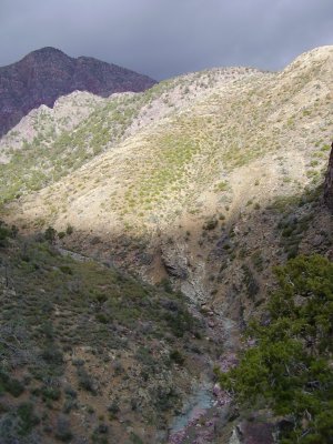Hike_03 07 11_0002.JPG