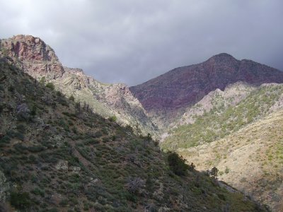 Hike_03 07 11_0004.JPG