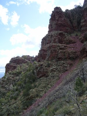 Hike_03 07 11_0006.JPG