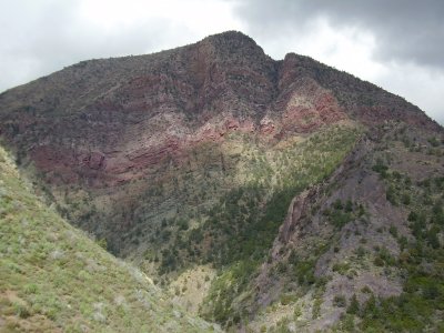 Hike_03 07 11_0008.JPG