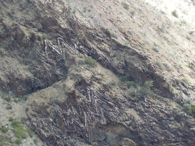Hike_03 07 11_0010.JPG