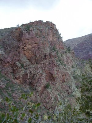 Hike_03 07 11_0012.JPG
