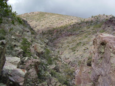Hike_03 07 11_0015.JPG