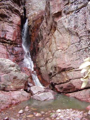Hike_03 07 11_0016.JPG