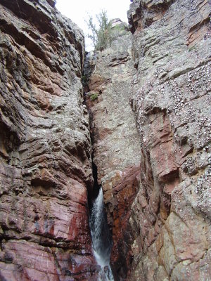 Hike_03 07 11_0017.JPG