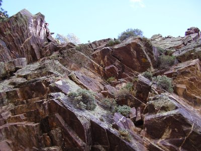 Hike_03 07 11_0043.JPG