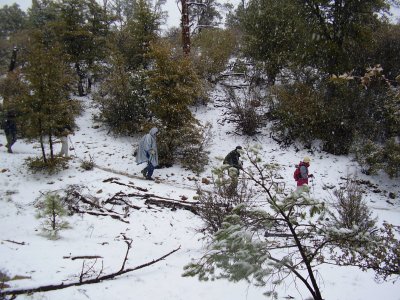 Hike_03 21 11_0002.JPG