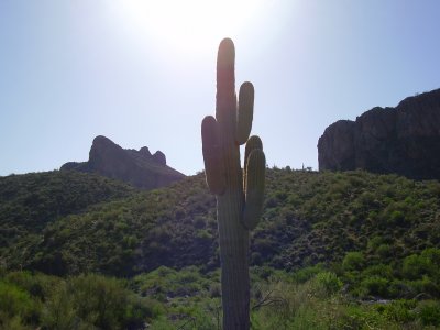 Hike_04 13 11_0001.JPG
