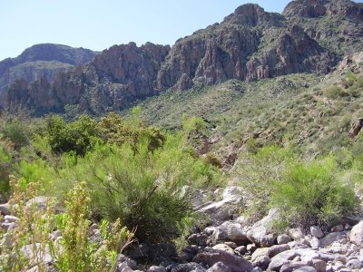 Hike_04 13 11_0011.JPG