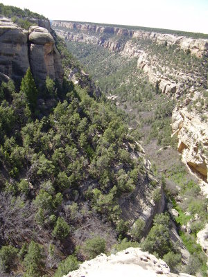 Mesa Verde_05 03 11_0003.JPG