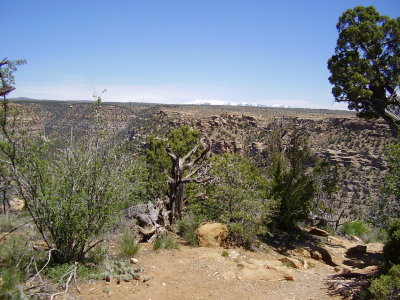 Mesa Verde_05 03 11_0019.JPG