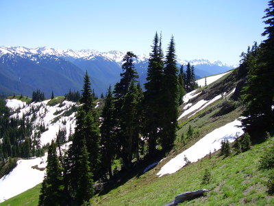 Hike_07 23 11_0012.JPG