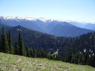 Hike_07 23 11_0018.JPG