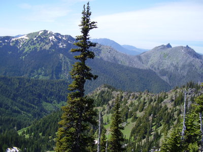 Hike_07 23 11_0026.JPG