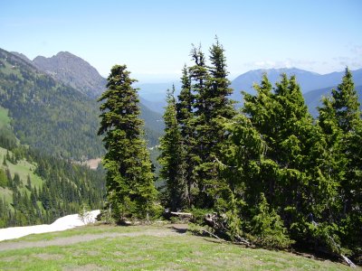 Hike_07 23 11_0031.JPG