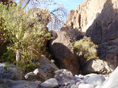 Hike_12 07 11_0004.JPG
