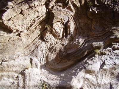 Hike_12 07 11_0005.JPG