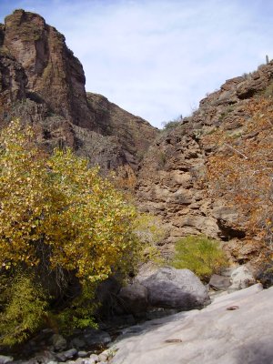 Hike_12 07 11_0011.JPG