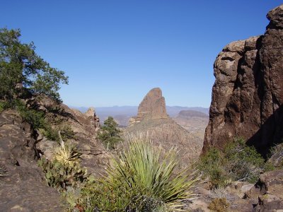 Arizona 2012