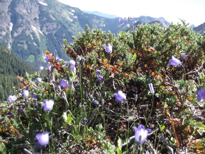 Hike_08 01 12_0109.JPG