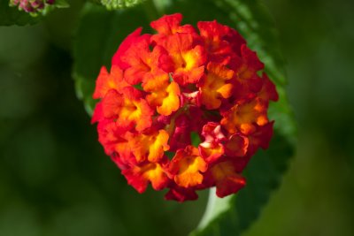 _MG_8001.jpg