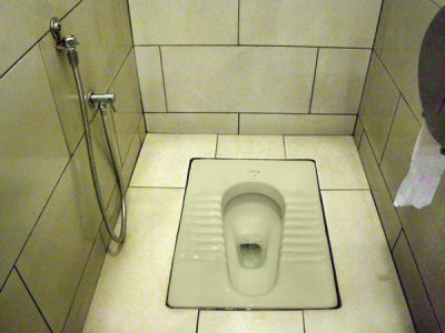 Natural Position toilet