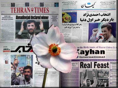 4 Newspapers with flower.jpg