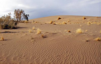 Mesr 07-09-85 264 desert.jpg