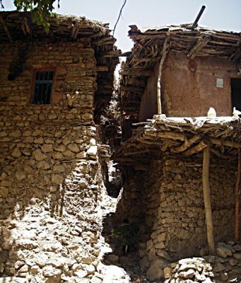 Ashayer 121.jpg