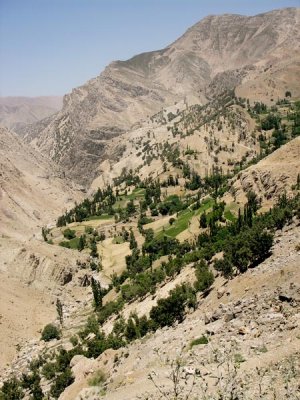Ashayer 142.jpg