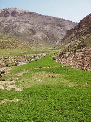 Ashayer 168.jpg