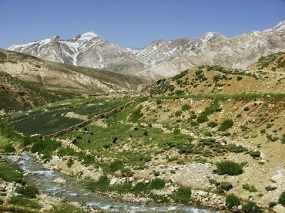 Ashayer 169.jpg