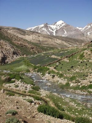 Ashayer 170.jpg