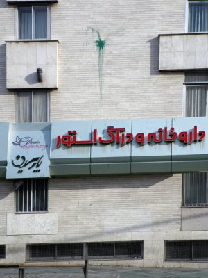 IMGP8313.jpg