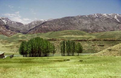 Ashayer pasture.jpg