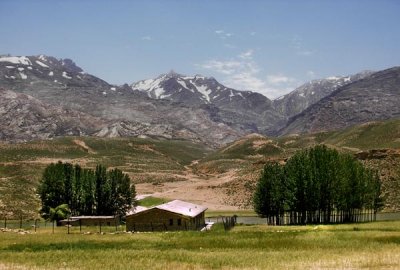 Ashayer pasture 2.jpg