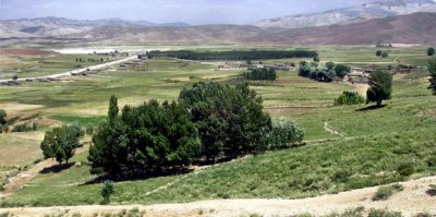 Ashayer pasture 3.jpg