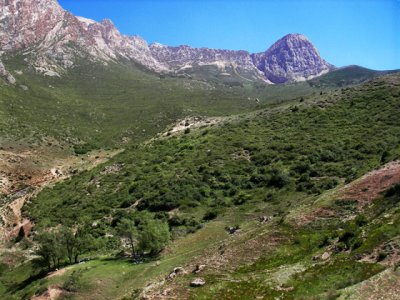 scene 4.jpg