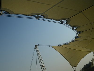 IMGP7977.jpg