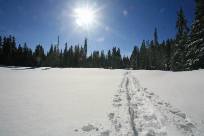 Trail Near  Deer Lake  On Way Out,,,, As Good As It Gets!!!