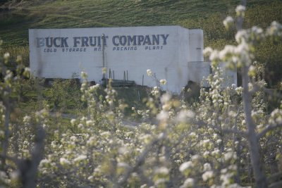 Buck Fruit Company