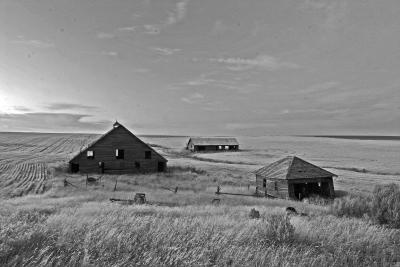 Old Barn